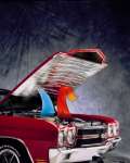 Dynamat The Hoodliner